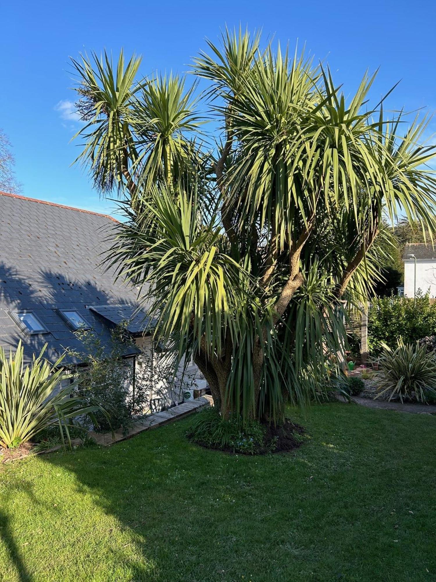 Rosedale A Charming Detached 4 Bedroom Cottage. Brixham Exterior photo